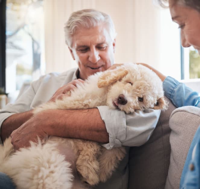 Older couple with dog